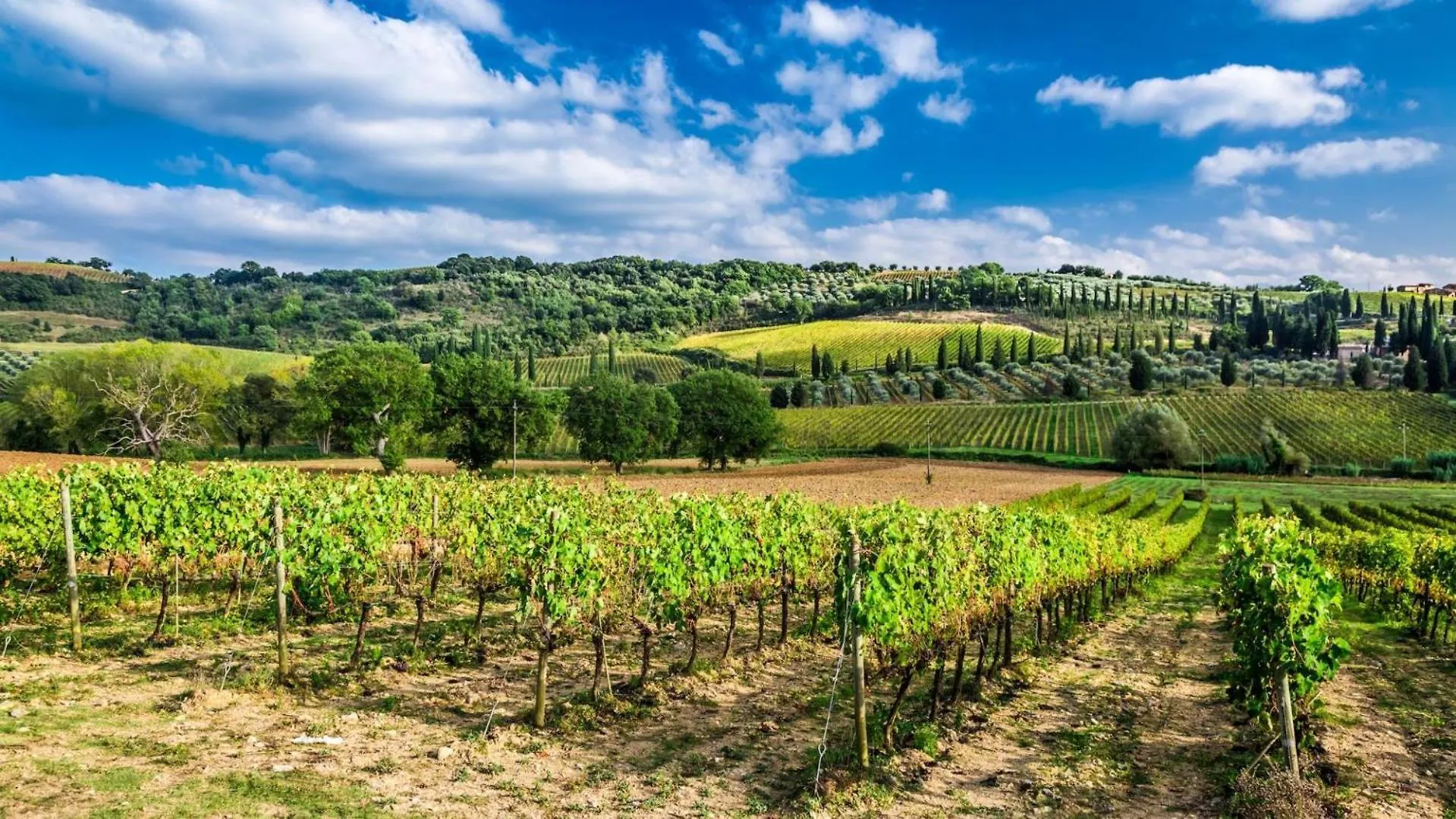 Terre Gialle - La Val D'Orcia Nascosta Castel del Piano  Castel del Piano (Tuscany)
